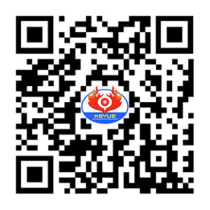 Mobile Web