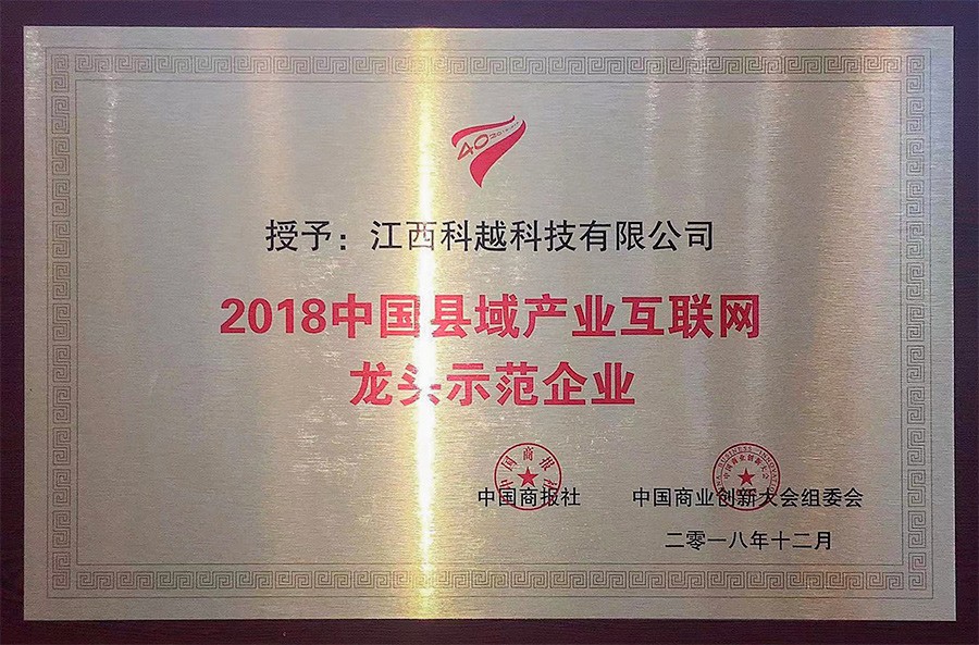 2018中国县域产业互联网龙头示范企业